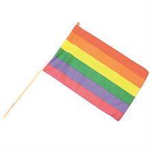 Handflagga Regnbåge 30x45cm