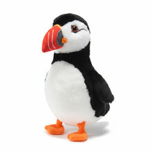 42793