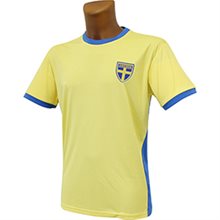 Fotbollströja Sweden i box, XL